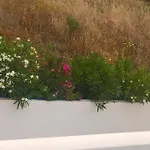 Gyrouli 1