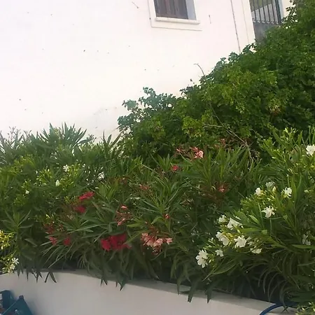 Gyrouli 1 Pera Gyalos