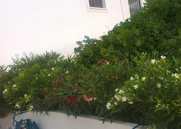 Gyrouli 1 Pera Gyalos